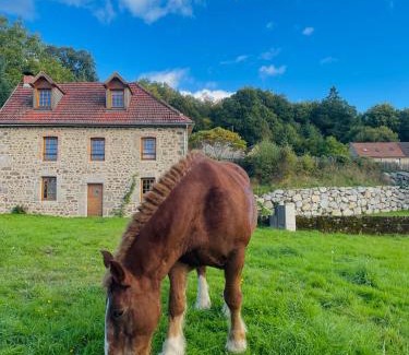 Croze House | Discover La Maison du Bonheur & Spa with Ocean Views