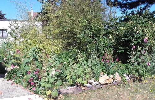Saint-Aubin-Les-Elbeuf House | Discover La Maisonnette du Jardin Fleuri with Kitchen & Breakfast