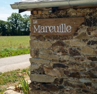 Saint-Dolay House | LA MAREUILLE-Maison écorénovée dans une ancienne ferme-Pleine nature-Sud Morbihan
