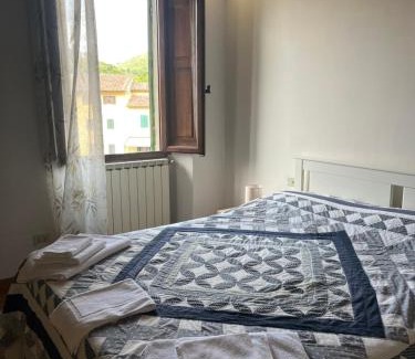 Greve in Chianti House | La margherita bianca