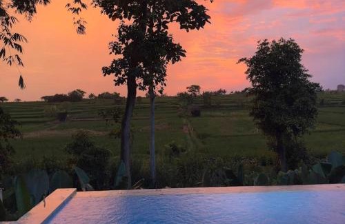 Singapadu Tengah Villa | Discover LaMeddian Ubud Villa: Pet-Friendly Retreat