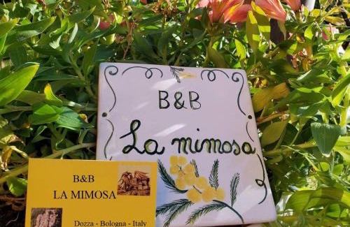 Dozza Apartment | La Mimosa: Oceanfront Haven with 9.8/10 Guest Rating