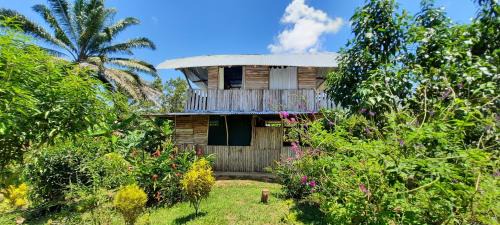Palma Apartment | Experience Culture & Nature at La Muñequita Lodge