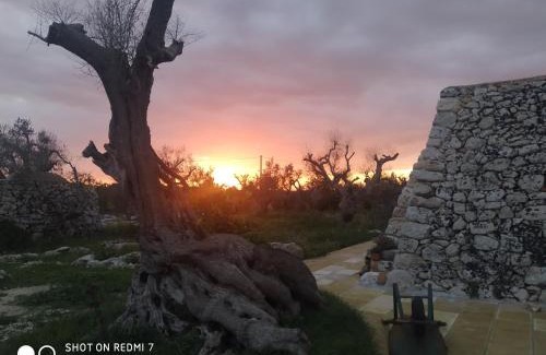 Corigliano D'Otranto Apartment | Family-Friendly Retreat at La Nicchia-Trullo with High Rating