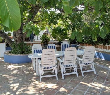 Baena House | Discover La Noguera de Baena: Family & Pet Friendly Retreat
