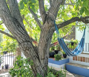 Baena House | Discover La Noguera de Baena: Family & Pet Friendly Retreat