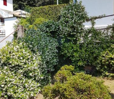 Comero House | Pet-Friendly La Palma: 4-Star Comfort with High Ratings