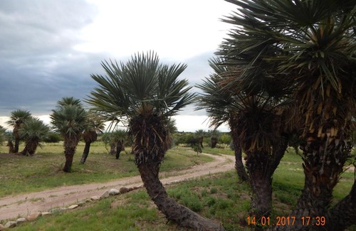 Chacabuco Department House | Highly Rated La Palmita: Family-Friendly with Hot Tub