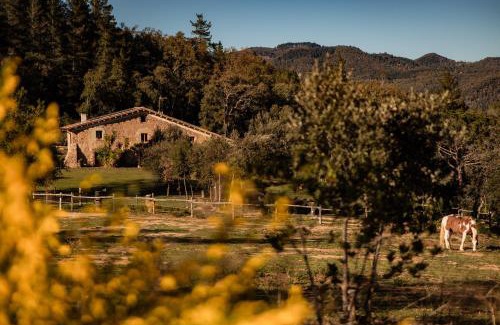 Arbucies Apartment | Discover La Paradella: Pet & Child Friendly Retreat