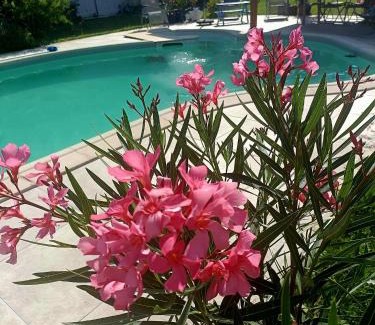 Nantilly Apartment | La parenthèse bucolique Gîte
