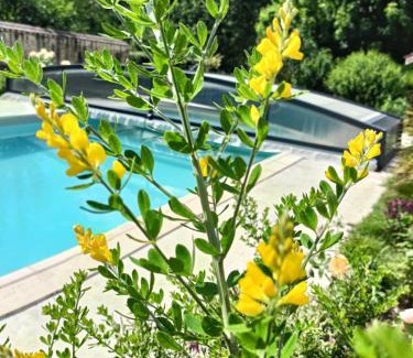 Nantilly Apartment | La parenthèse bucolique Gîte