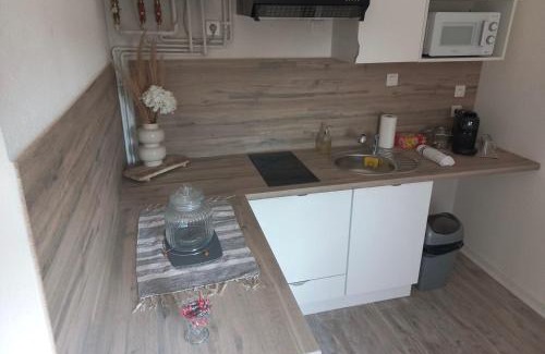 Sain-Bel Apartment | La parenthèse dorée Studio à saint bel