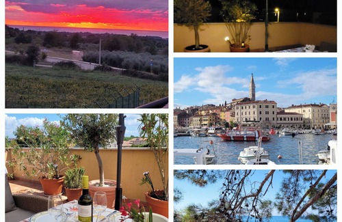 Gedici Apartment | La Peppina - Charming apartment with large terrace near Porec and the sea + pool