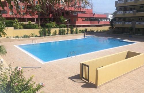 El Medano Apartment | Oceanfront La Perla Medano 1: Rated 9.7/10 by Guests