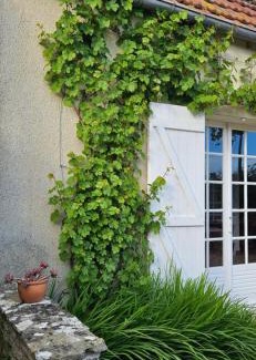 Saint-Come-de-Fresne House | Pet-Friendly Retreat at La Petite Chouette - Rated 9/10