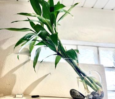 Matoury Apartment | Family-Friendly Stay at La Pierre des Ducs - Rated 8.9/10