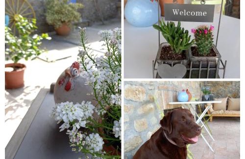 Ponte Nizza House | Pet-Friendly Retreat at La Pomella for Family Getaways