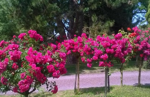 Trevieres House | Family-Friendly La Pomme Rouge with High Guest Ratings