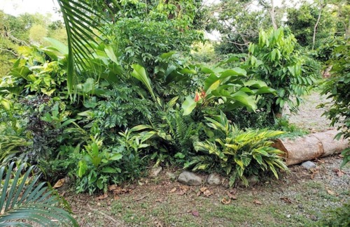 Jimenez RV Rental | La Poza, El Yunque! Camping Area 1