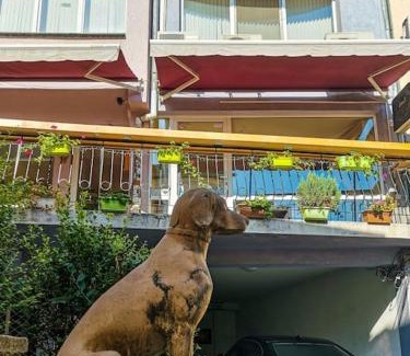 Plovdiv Center Apartment | Discover La Primavera Apartment – Rated 10/10 by Guests