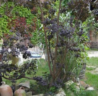 Le Noyer Bed & Breakfast | Inviting LA PROVIDENCE: Pet-Friendly with Family Amenities