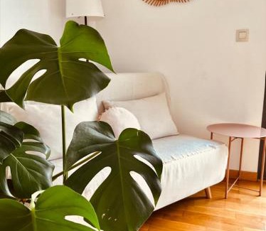 Viana House | Experience La Puerta de Viana: Breakfast, Pool & Wine Tours