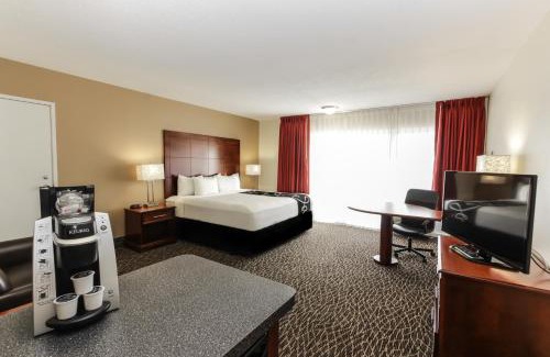 Clearwater Hotel | Experience Comfort at La Quinta by Wyndham Clearwater