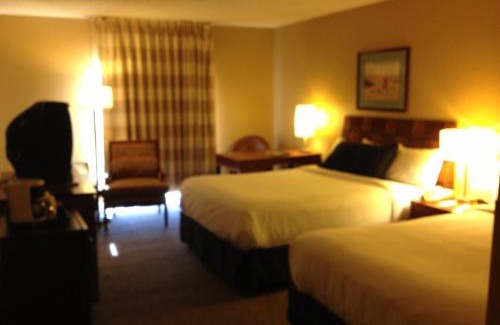 Madera Hotel | Pet-Friendly Retreat at La Quinta by Wyndham Madera