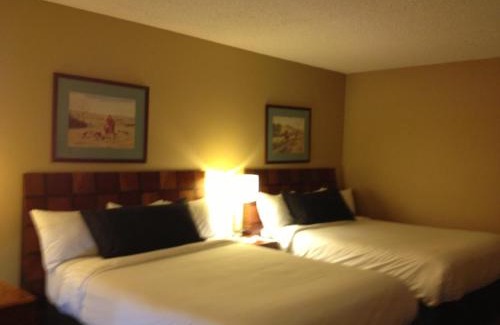 Madera Hotel | Pet-Friendly Retreat at La Quinta by Wyndham Madera