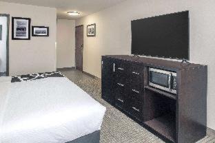 Moscow Hotel | Pet-Friendly Getaway at La Quinta by Wyndham Moscow Pullman