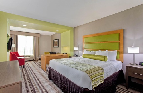 Paducah Hotel | Pet-Friendly Comfort at La Quinta by Wyndham Paducah