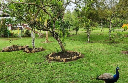 San Isidro Bed & Breakfast | Pet-Friendly Retreat at La Quinta de Andrés - 10/10 Rated