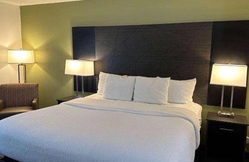 Springdale Hotel | Pet-Friendly Retreat at La Quinta Inn Cincinnati North