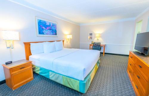 Clute Hotel | Budget-Friendly Stay at La Quinta Inn Clute Lake Jackson