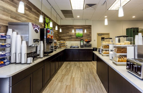 Clearwater Hotel | Pet-Friendly Retreat at La Quinta Inn Clearwater Central