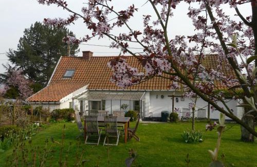 Ronse House | Discover La Quitapenas: Pet-Friendly Retreat with Kitchen