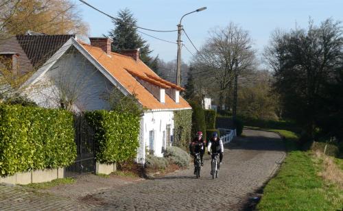 Ronse House | Discover La Quitapenas: Pet-Friendly Retreat with Kitchen