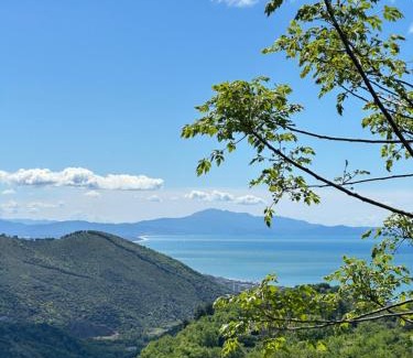 Salerno Bed & Breakfast | Discover La Riggiola: Pet-Friendly with Top Amenities