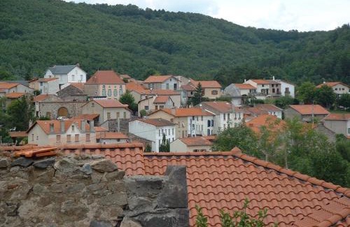 Chatel-Guyon House | Discover La Roche Pérégrine: Pet Friendly & Highly Rated