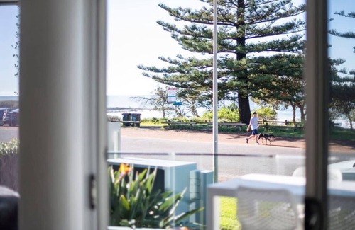 Yamba Apartment | Oceanfront Bliss at La Ronde One - Rated 10/10 by Guests