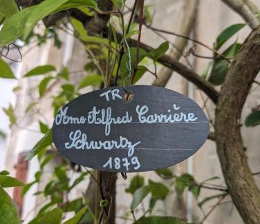 Chedigny House | Discover Family-Friendly Comfort at La rose d'Alfred