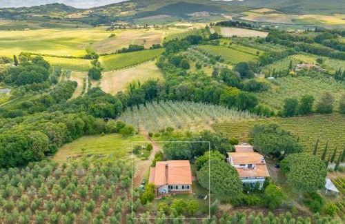 Bibbona House | La Sassetta