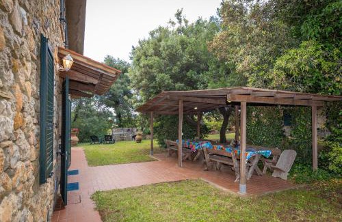 Bibbona House | La Sassetta