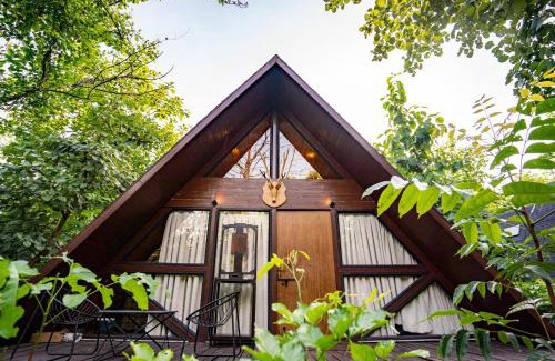 Turiya Resort | Discover LA SELVA Resort: A Pet-Friendly Retreat in Pench