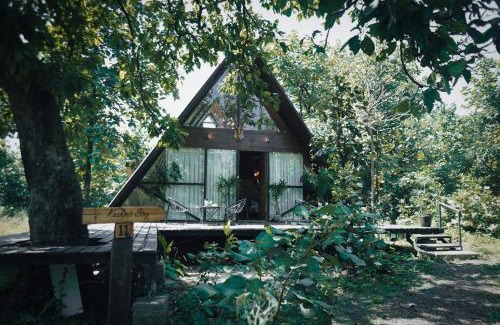 Turiya Resort | Discover LA SELVA Resort: A Pet-Friendly Retreat in Pench