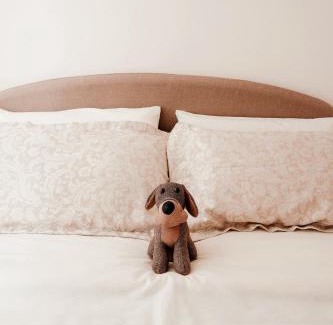 Terni Apartment | Pet-Friendly La Severa House - Rated 9/10 by Guests
