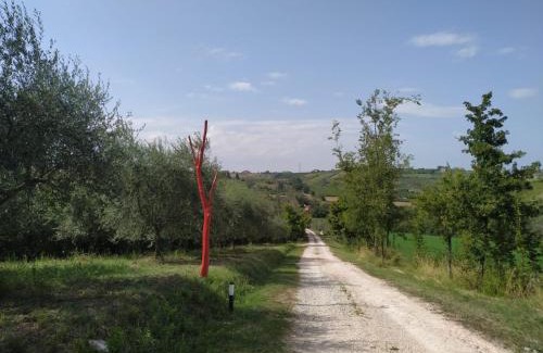 Falciano House | Pet-Friendly Stay at La Silvana B&B - Rated 10/10 by Guests