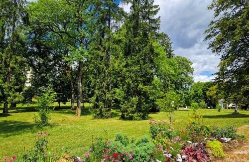 Contrexeville Hotel | Pet-Friendly Stay at La Souveraine with Family Amenities