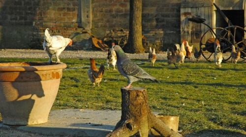 San Pietro in Vincoli House | Pet-Friendly La Spagnera with Ocean Views & Pool