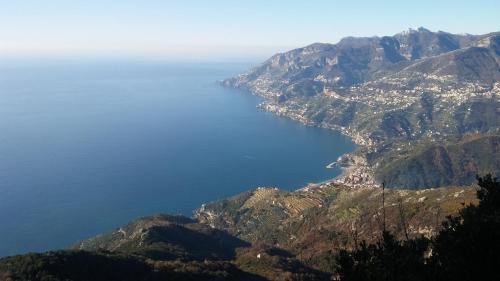Marini Bed & Breakfast | Explore La Stella del Sud: Pet-Friendly Delight Awaits